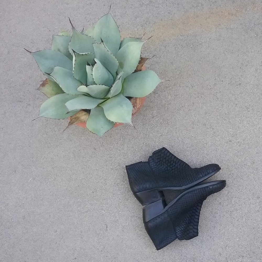Sam Edelman Black Snake Embossed Petty Booties Size 6 Rocker Edgy Boho Classic